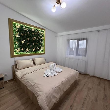 Casa Privata Airport Bucharest Therme Bucharest 발로테슈티 외부 사진