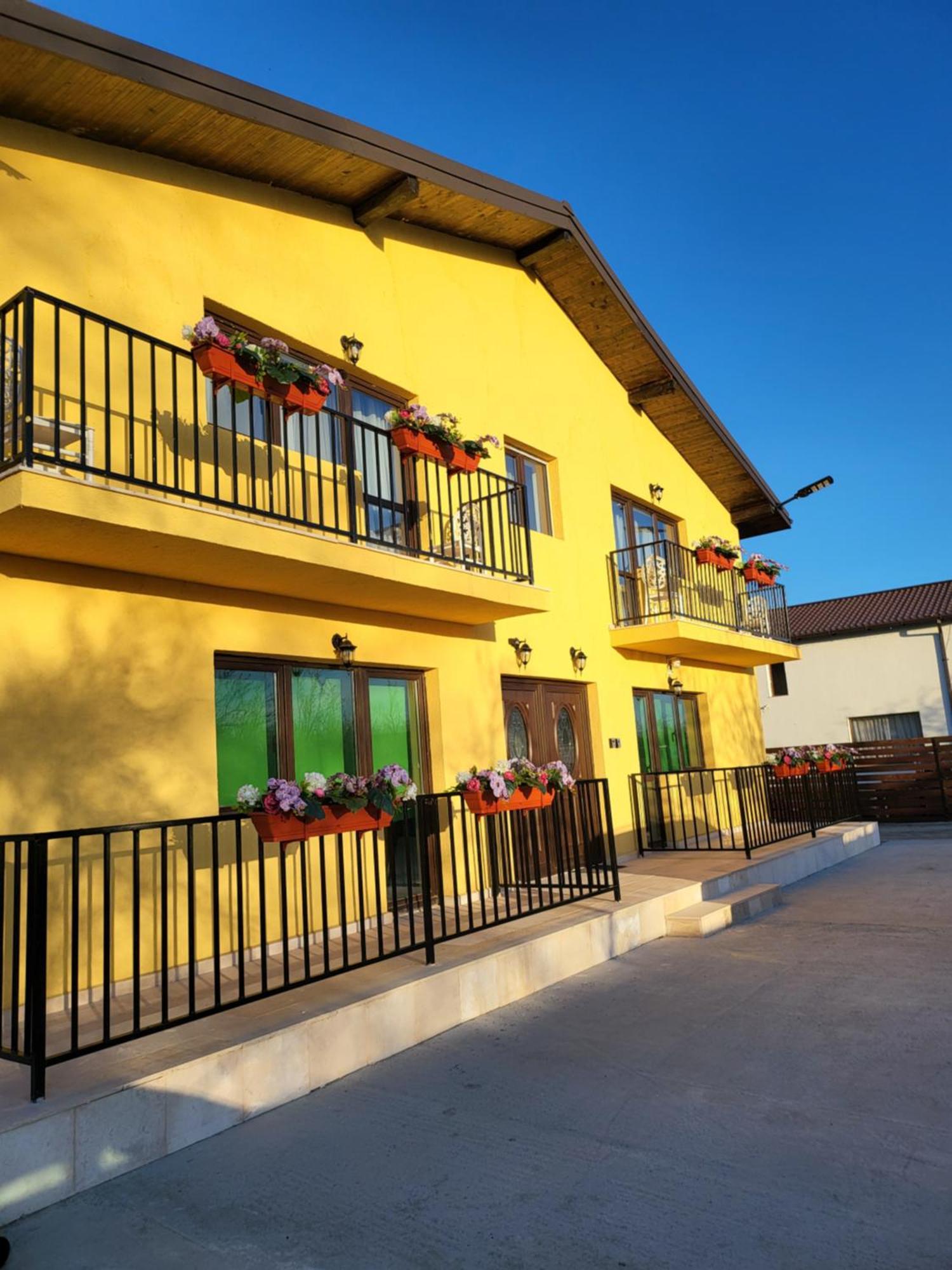 Casa Privata Airport Bucharest Therme Bucharest 발로테슈티 객실 사진